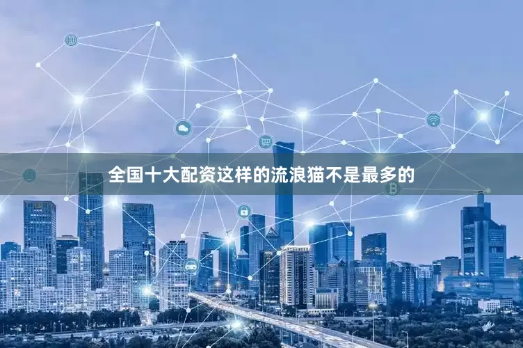 全国十大配资这样的流浪猫不是最多的