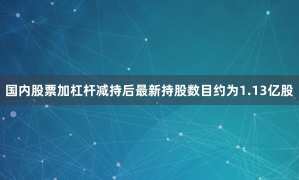 国内股票加杠杆减持后最新持股数目约为1.13亿股