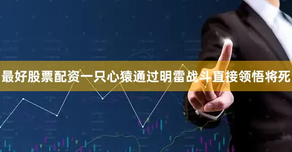 最好股票配资一只心猿通过明雷战斗直接领悟将死